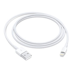 Cabo Apple MXLY2ZE/A USB-A para Lightning 1 Metro - Branco (Original)