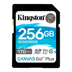 Cartão de Memória SD Kingston C10 Canvas Go! 256GB / 170MBs / Classe U3 V30 - SDG3/256GB