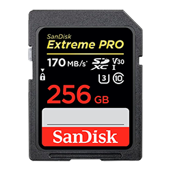 Cartão de Memória SD Sandisk Extreme Pro U3 256GB / 170MBS - (SDSDXXY-256G-GN4IN)