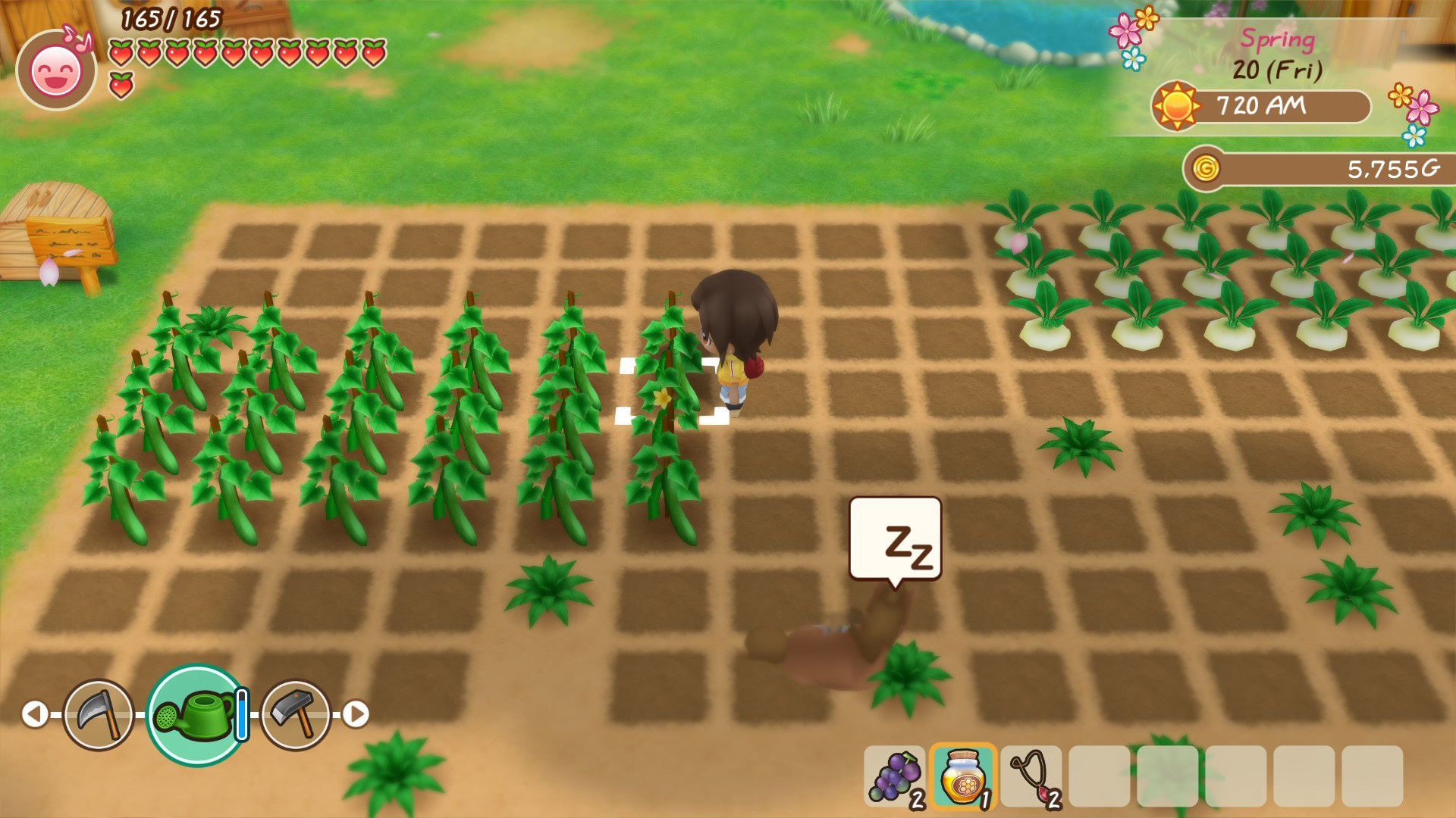 Jogo Story Of Seasons Friends Of Mineral Town para PS4