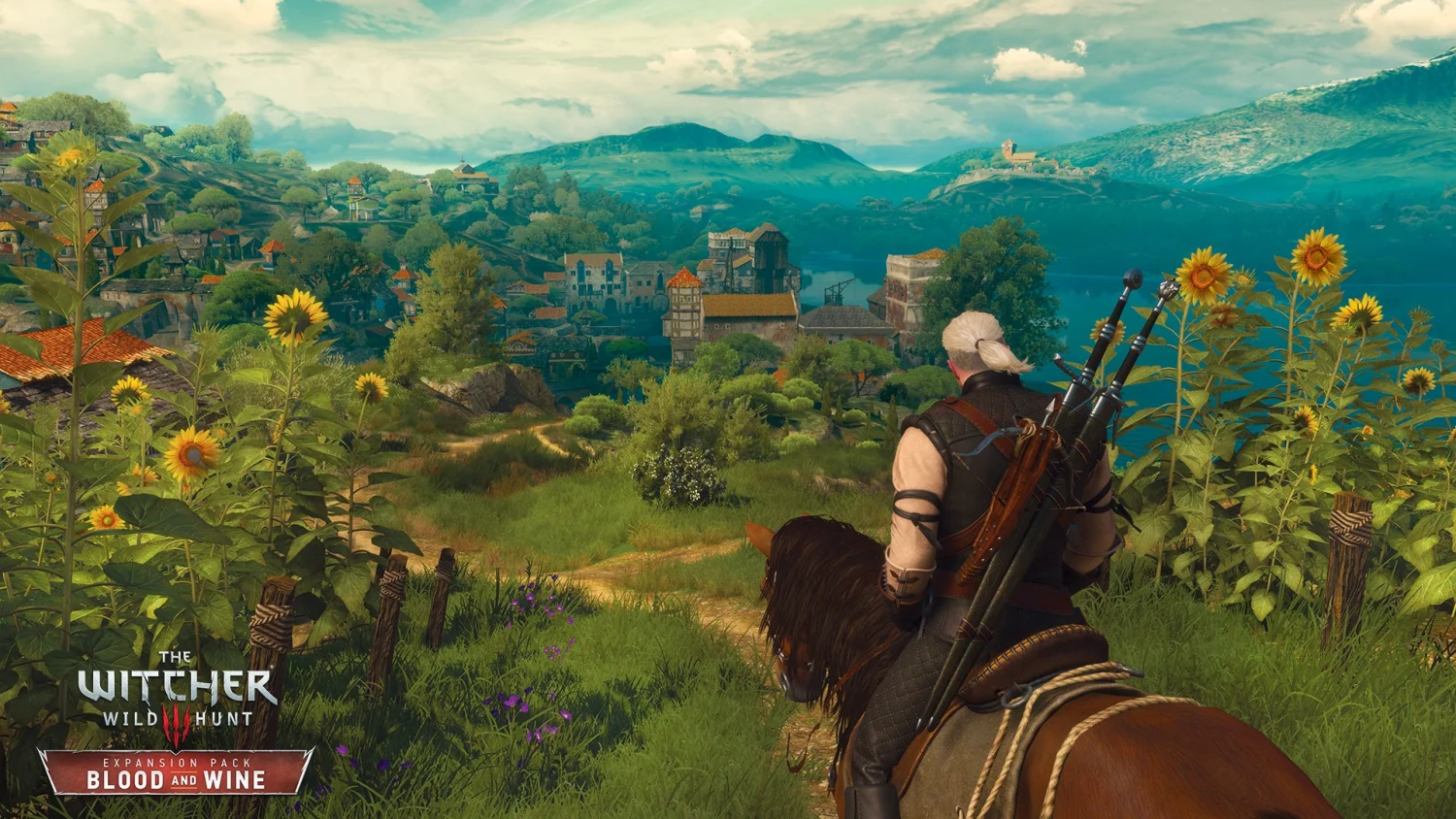 The Witcher 3 Wild Hunt Complete Edition Switch - Físico