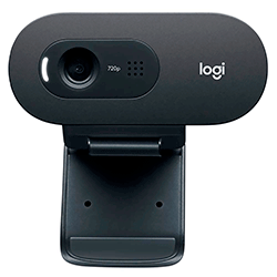 Webcam Logitech C505 HD 30 FPS Microfone Integrado 960-001367 - Preto